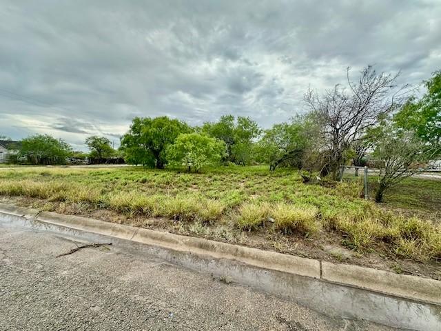 Land for sale in Kingsville, Texas