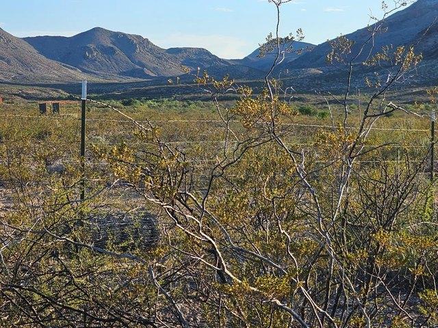 Farm for sale in Brewster, Texas