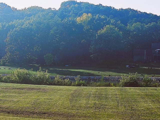 Land for sale in Dixon, Illinois