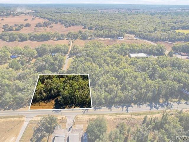 Land for sale in Hernando, Florida