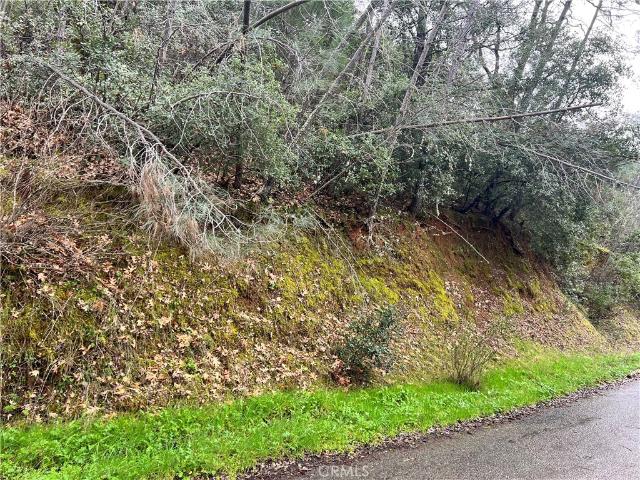 Land for sale in Lake, California