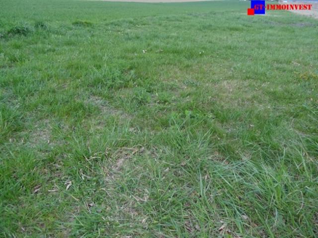 Grundstück kaufen in Hirm, Burgenland