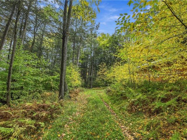 Land for sale in Town of Bath, Steuben County