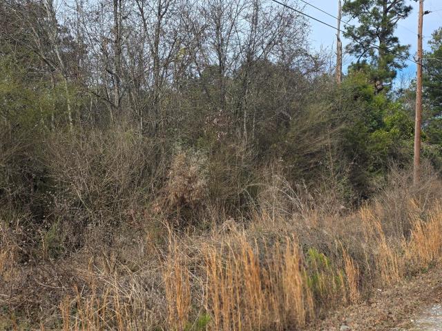 Commercial for sale in Macon, Georgia