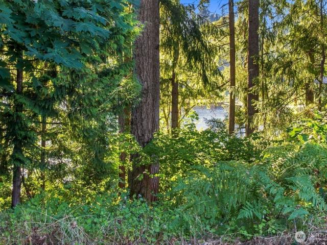 House for sale in Thurston, Washington
