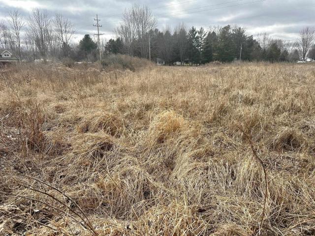 Land for sale in Freeland Land for sale in Freeland