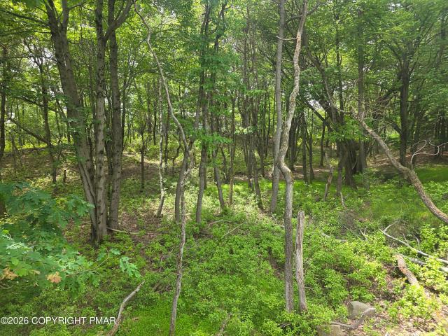 Land for sale in Blakeslee, Pennsylvania