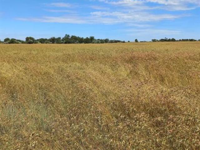 Farm for sale in Dr Ruth Segomotsi Mompati District Municipality, North West