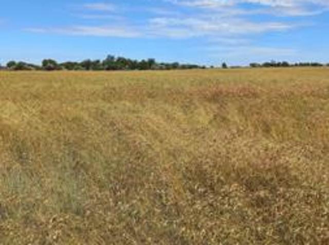 Farm for sale in Dr Ruth Segomotsi Mompati District Municipality, North West