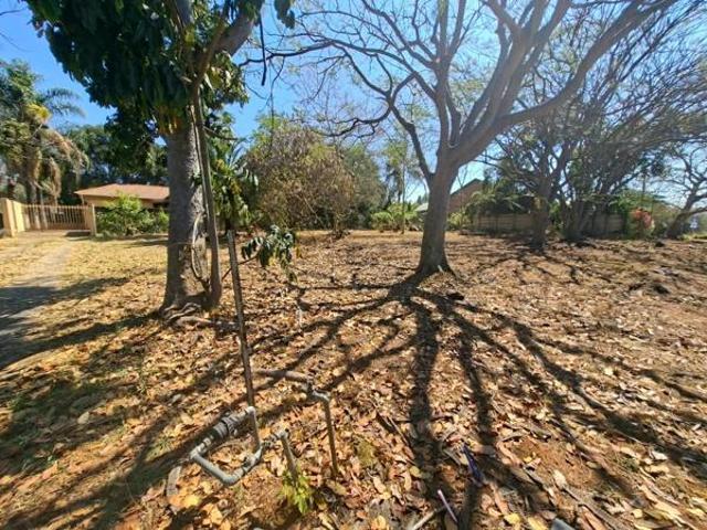 Land for sale in Limpopo