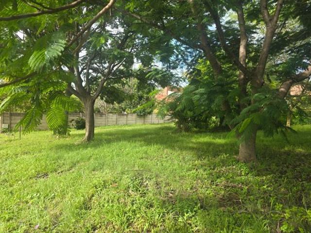 Land for sale in Limpopo