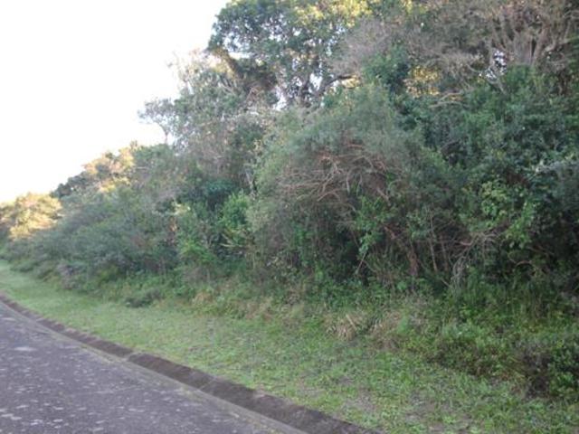 Land for sale in Bushmans River Mouth, Eastern Cape