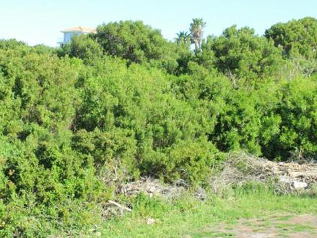 Land for sale in Cape St Francis, Eastern Cape