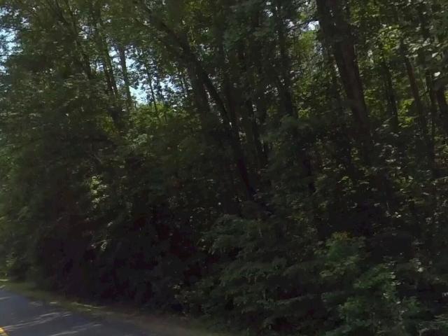 Land for sale in Martin, Georgia