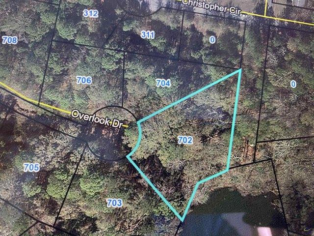 Land for sale in Montezuma, Georgia