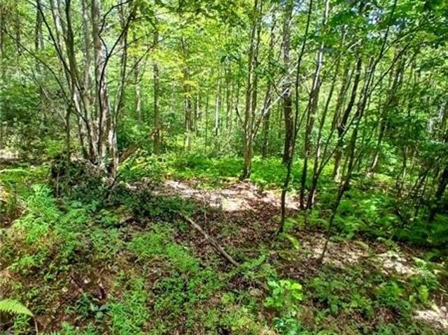 Farm for sale in Chalk Hill, Pennsylvania