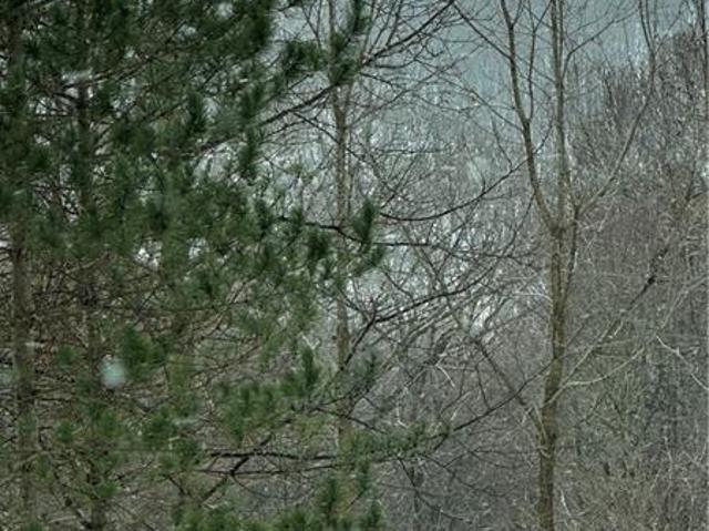Land for sale in Chalk Hill, Pennsylvania