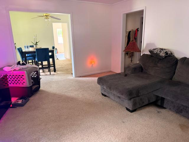 House for sale in Mountain Grove, Missouri