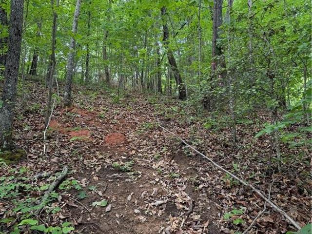 Land for sale in Canton, Georgia