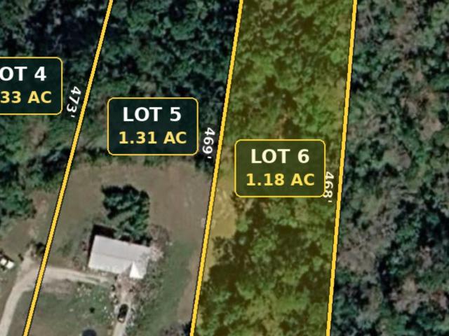 Land for sale in Loris, Horry County