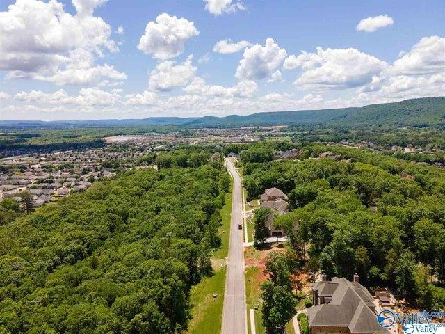 Land for sale in Owens Cross Roads, Madison County