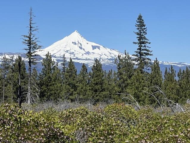 Land for sale in Oregonia