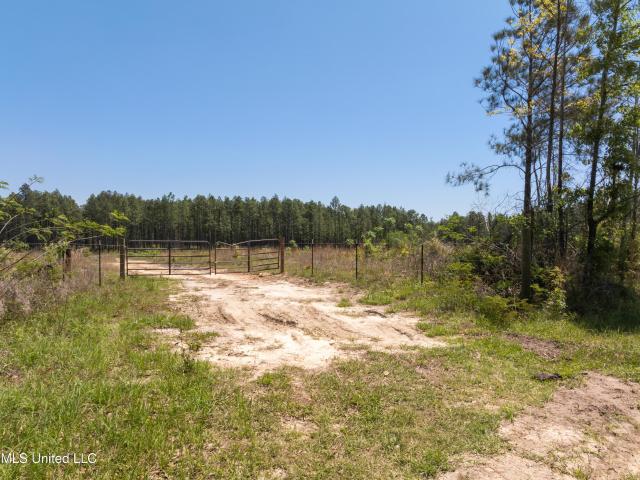 Land for sale in Purvis, Mississippi