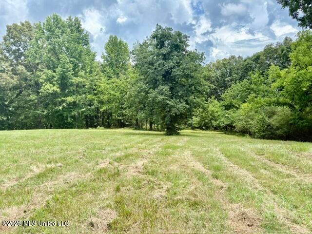 Land for sale in Tate, Mississippi