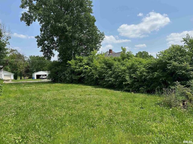 Land for sale in Christopher, Illinois