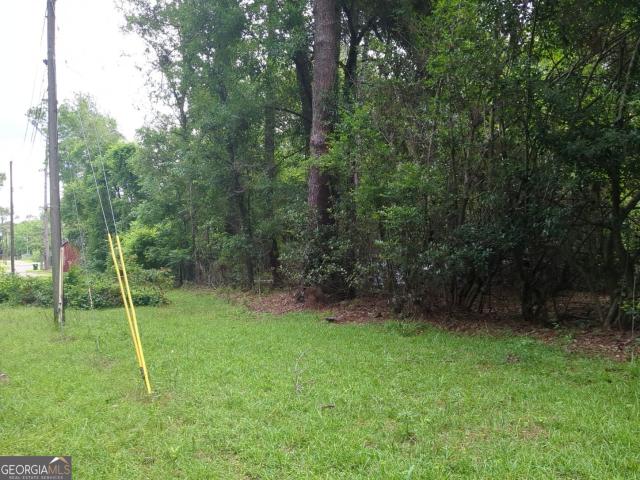 Land for sale in Sparks, Georgia