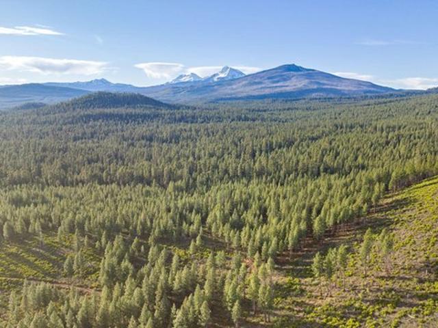 Land for sale in Oregonia