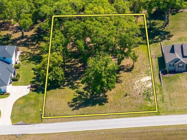 Land for sale in Tangerine, Florida