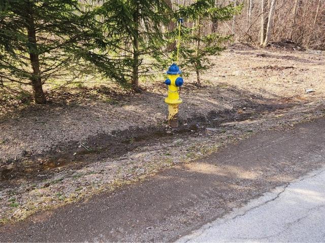 Land for sale in North Rose, New York
