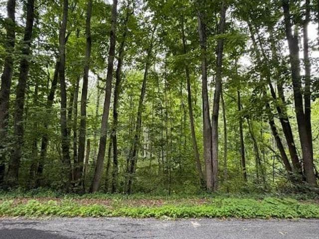 Land for sale in Town of Montezuma, Cayuga County