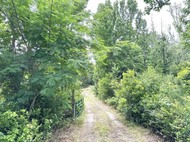 Farm for sale in Colmesneil, Texas