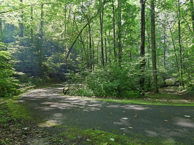 House for sale in Franklin, North Carolina