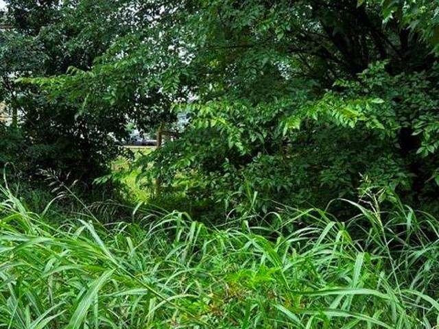 Land for sale in Mecklenburg, North Carolina