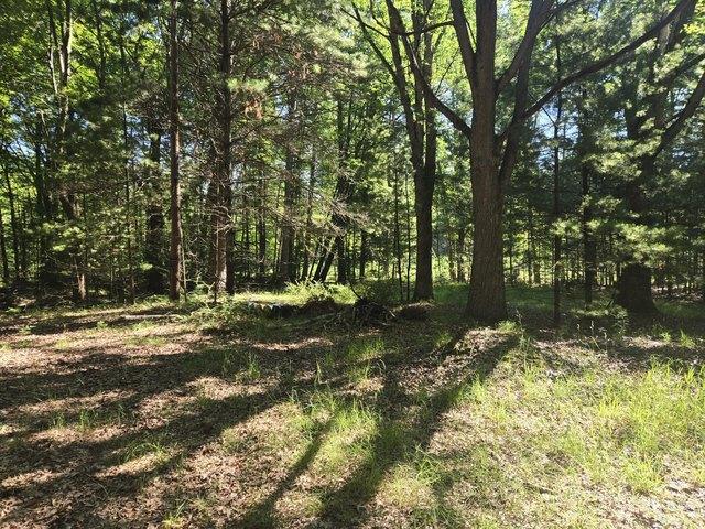 Land for sale in Pentwater, Michigan