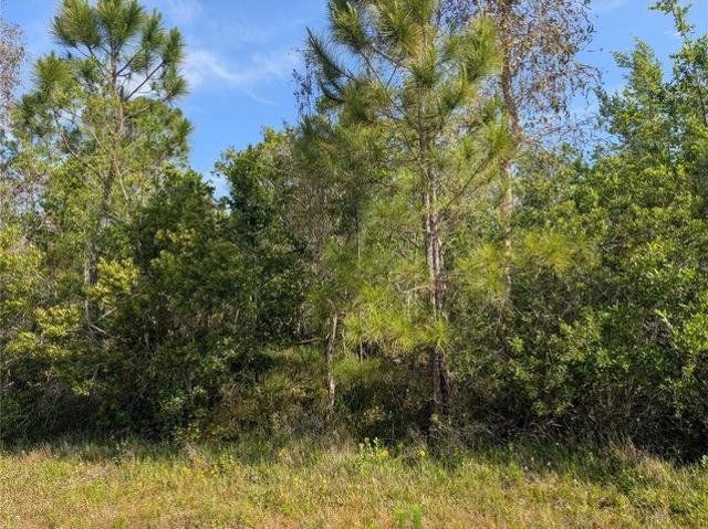 Land for sale in Indian Lake Estates, Florida
