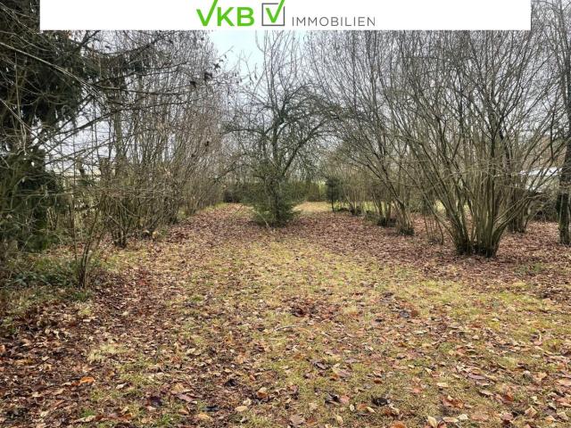 Grundstück kaufen in Alberndorf in der Riedmark, Oberösterreich