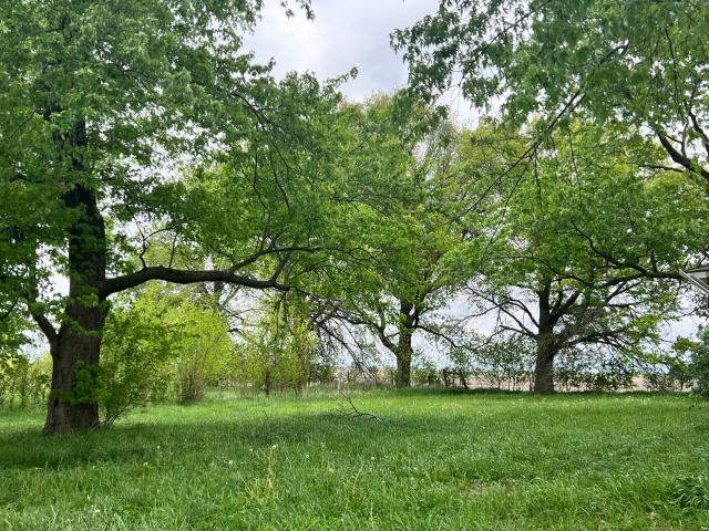 House for sale in Vermilion, Illinois