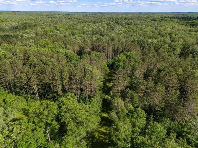 Land for sale in Rhinelander, Wisconsin