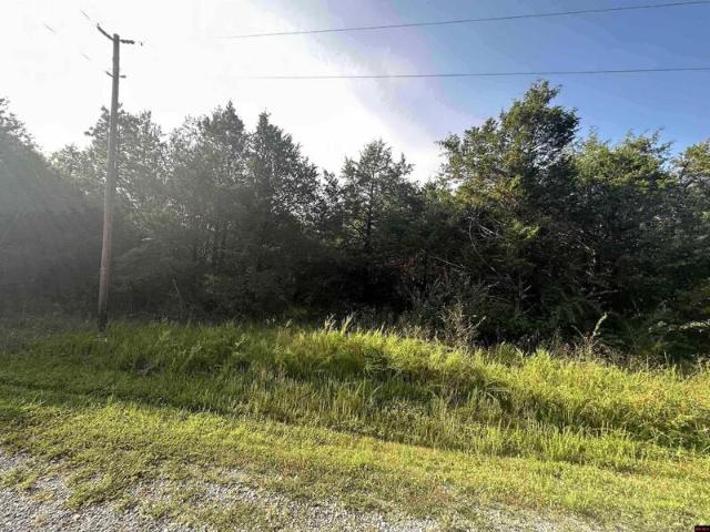 Land for sale in Horseshoe Bend