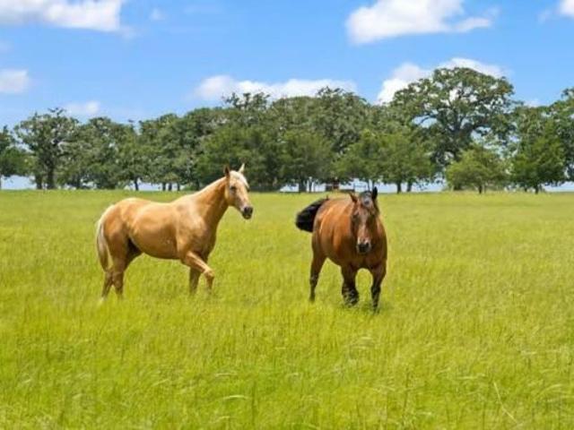 House for sale in Paige, Texas