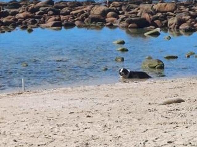 Land for sale in Cape St Francis, Eastern Cape