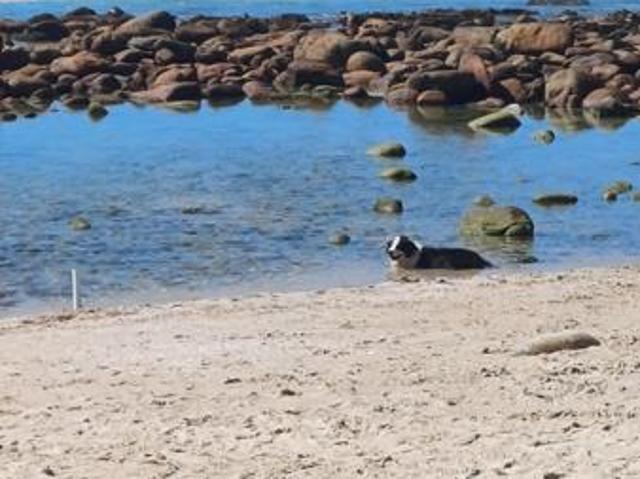Land for sale in Cape St Francis, Eastern Cape