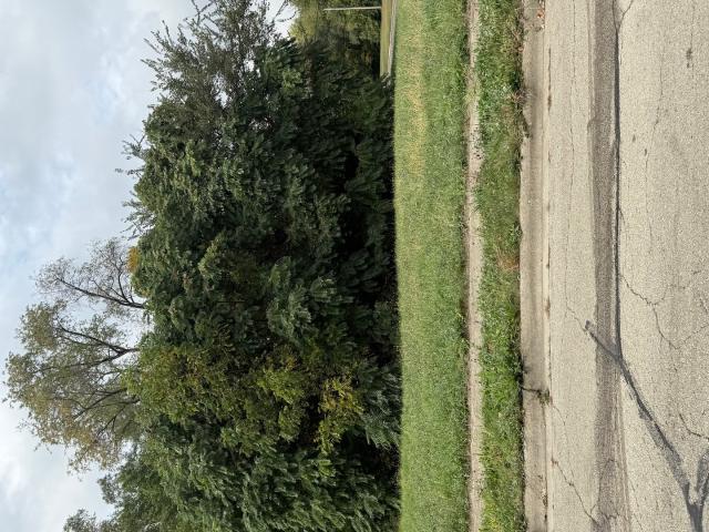 Land for sale in Winnebago, Illinois