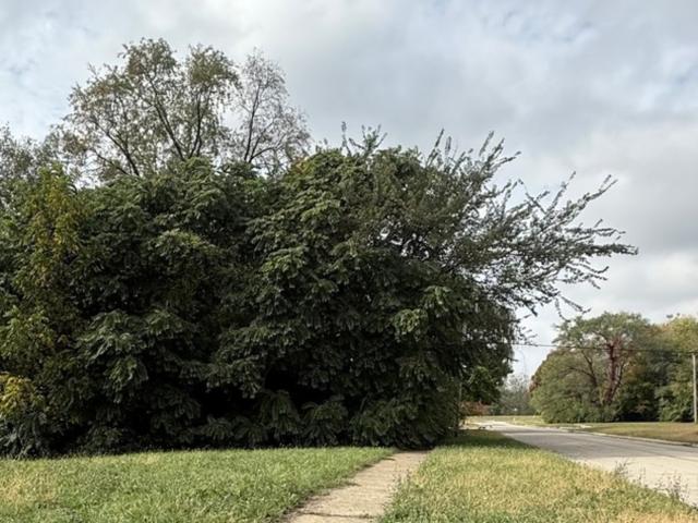 Land for sale in Winnebago, Illinois