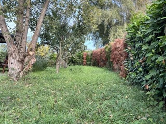 Grundstück kaufen in Trausdorf an der Wulka, Burgenland