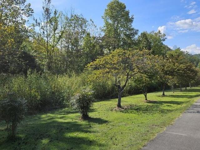 Land for sale in Tennessee